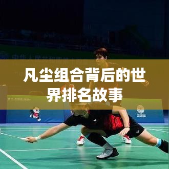 凡尘组合背后的世界排名故事