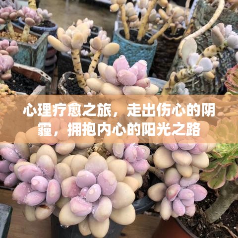 心理疗愈之旅，走出伤心的阴霾，拥抱内心的阳光之路