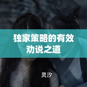 独家策略的有效劝说之道