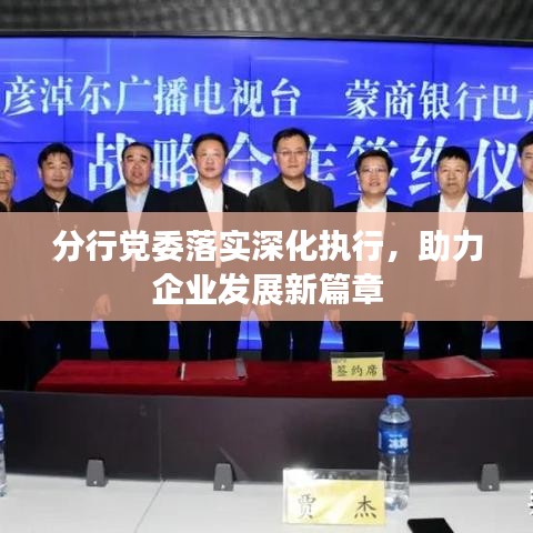 分行党委落实深化执行，助力企业发展新篇章