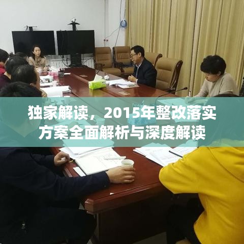 独家解读，2015年整改落实方案全面解析与深度解读