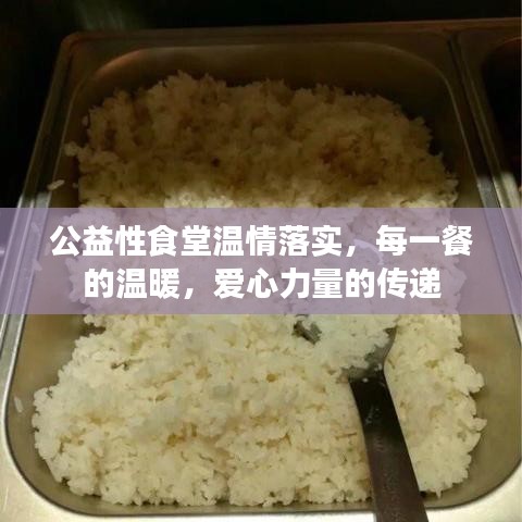 公益性食堂温情落实，每一餐的温暖，爱心力量的传递