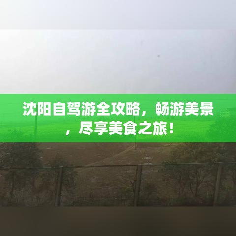 沈阳自驾游全攻略，畅游美景，尽享美食之旅！