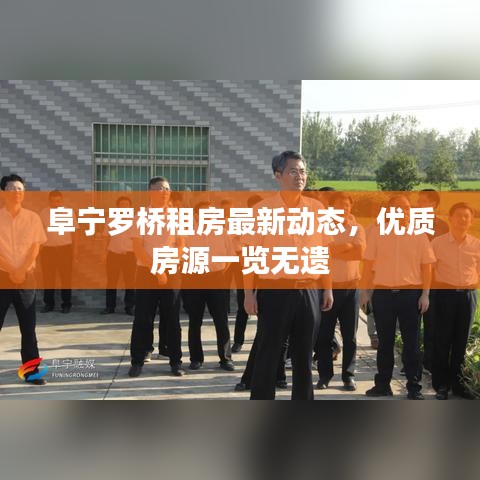 阜宁罗桥租房最新动态，优质房源一览无遗