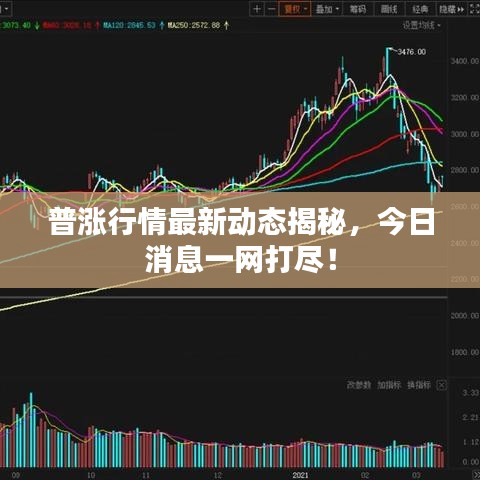 普涨行情最新动态揭秘，今日消息一网打尽！