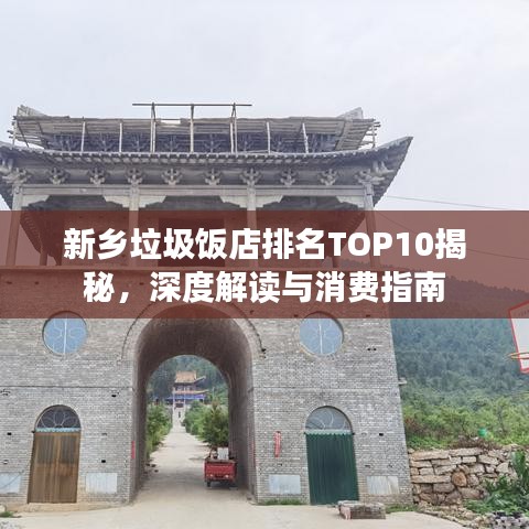 新乡垃圾饭店排名TOP10揭秘，深度解读与消费指南