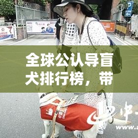 全球公认导盲犬排行榜，带你了解最信赖的盲犬品种！
