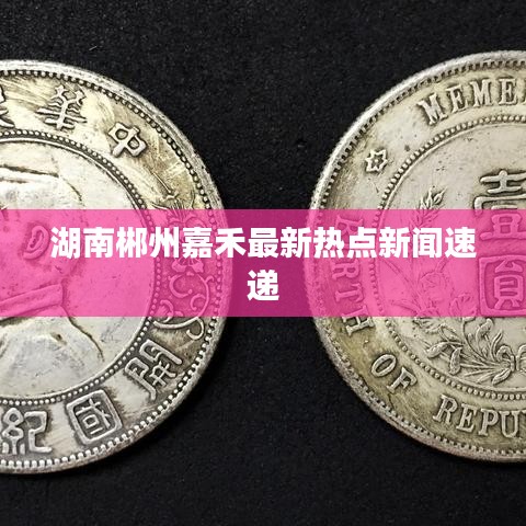 湖南郴州嘉禾最新热点新闻速递