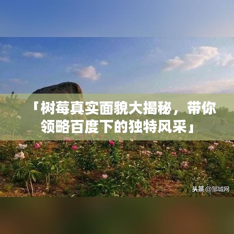 「树莓真实面貌大揭秘，带你领略百度下的独特风采」