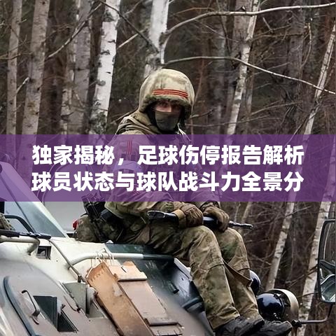 独家揭秘，足球伤停报告解析球员状态与球队战斗力全景分析