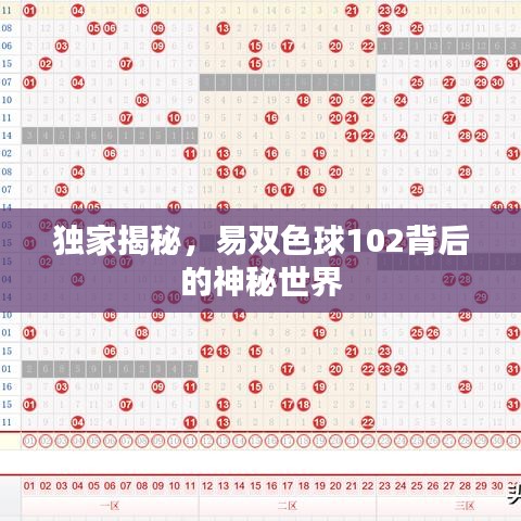 独家揭秘，易双色球102背后的神秘世界
