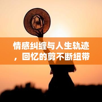 情感纠缠与人生轨迹，回忆的剪不断纽带