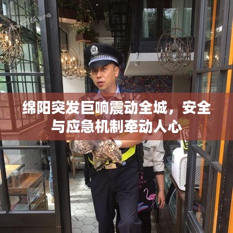 绵阳突发巨响震动全城，安全与应急机制牵动人心