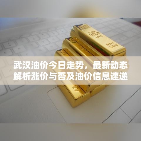 武汉油价今日走势，最新动态解析涨价与否及油价信息速递
