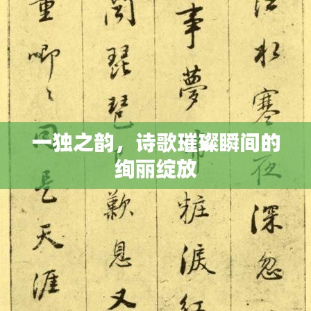 一独之韵，诗歌璀璨瞬间的绚丽绽放