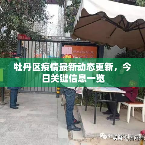 牡丹区疫情最新动态更新，今日关键信息一览
