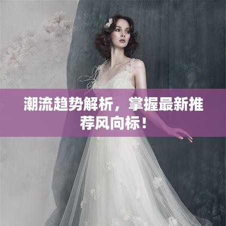 潮流趋势解析，掌握最新推荐风向标！