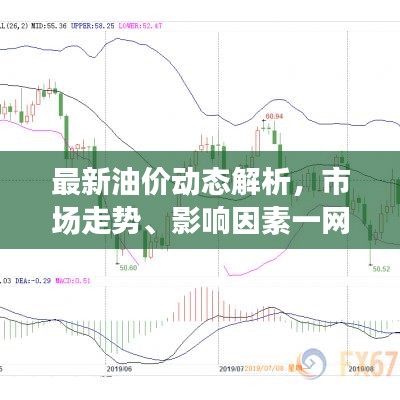 最新油价动态解析，市场走势、影响因素一网打尽！