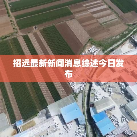 招远最新新闻消息综述今日发布