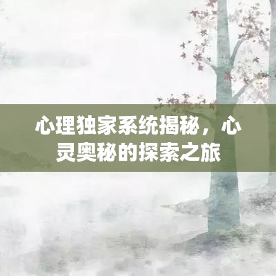 心理独家系统揭秘，心灵奥秘的探索之旅