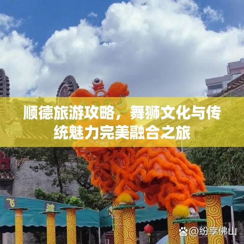 顺德旅游攻略，舞狮文化与传统魅力完美融合之旅
