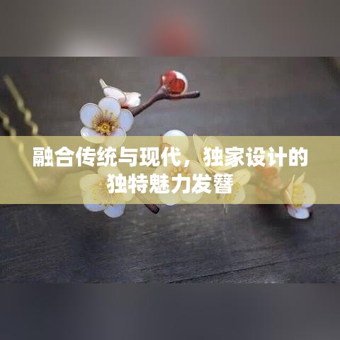 融合传统与现代，独家设计的独特魅力发簪