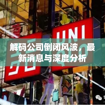 解码公司倒闭风波，最新消息与深度分析