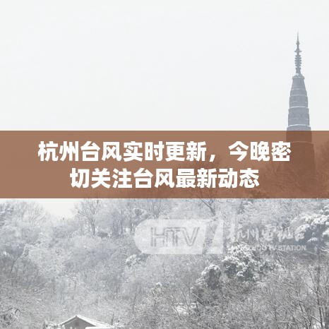 杭州台风实时更新，今晚密切关注台风最新动态
