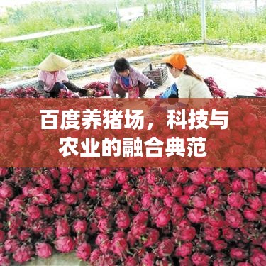 百度养猪场，科技与农业的融合典范