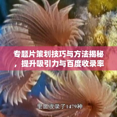 全神贯注