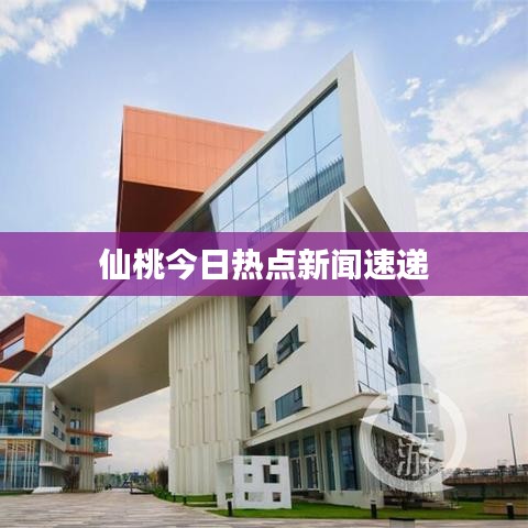 仙桃今日热点新闻速递
