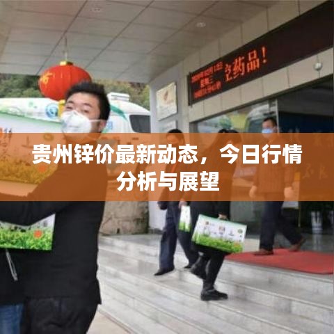 贵州锌价最新动态，今日行情分析与展望