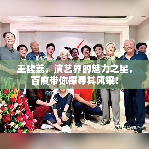 王馥荔，演艺界的魅力之星，百度带你探寻其风采！