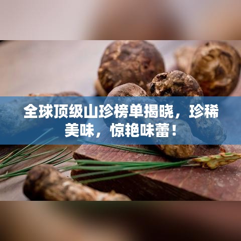 全球顶级山珍榜单揭晓，珍稀美味，惊艳味蕾！