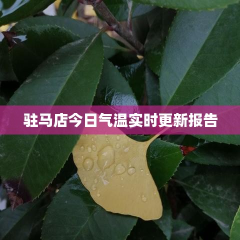 驻马店今日气温实时更新报告