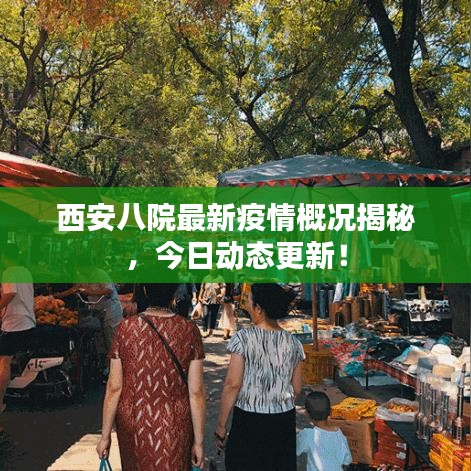 西安八院最新疫情概况揭秘，今日动态更新！