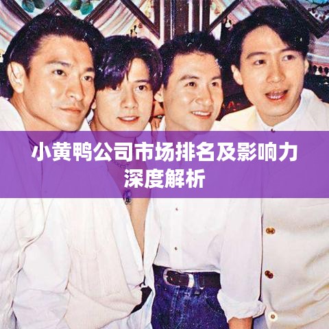 小黄鸭公司市场排名及影响力深度解析