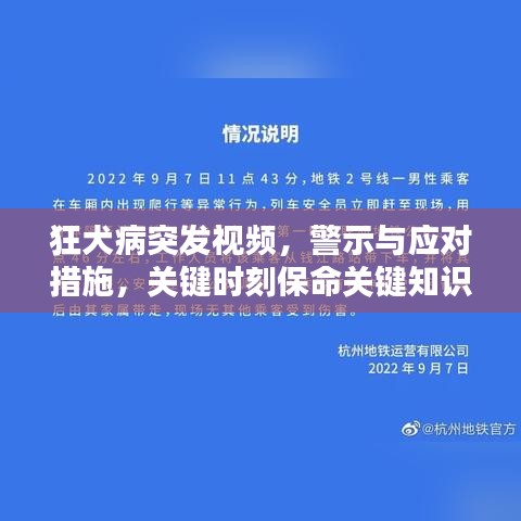 狂犬病突发视频，警示与应对措施，关键时刻保命关键知识！