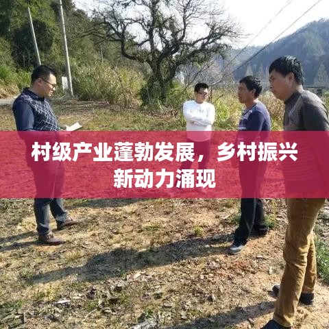 村级产业蓬勃发展，乡村振兴新动力涌现