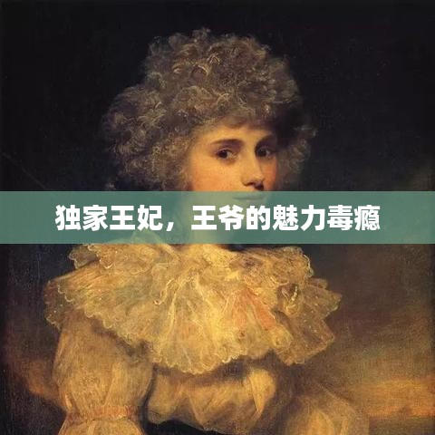 独家王妃，王爷的魅力毒瘾