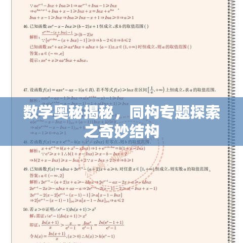 数学奥秘揭秘，同构专题探索之奇妙结构
