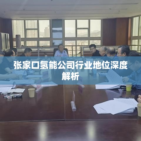 张家口氢能公司行业地位深度解析