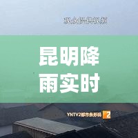 昆明降雨实时更新，最新降雨情报揭晓！