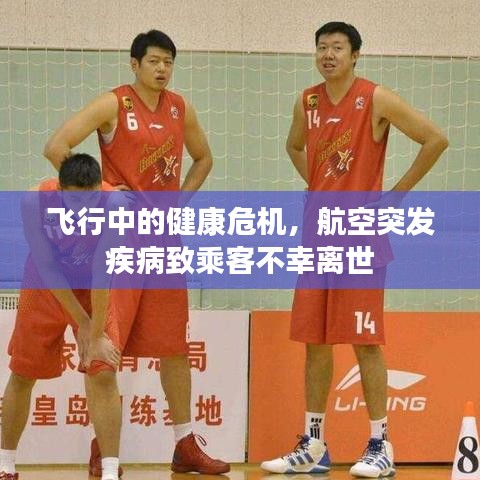 飞行中的健康危机，航空突发疾病致乘客不幸离世