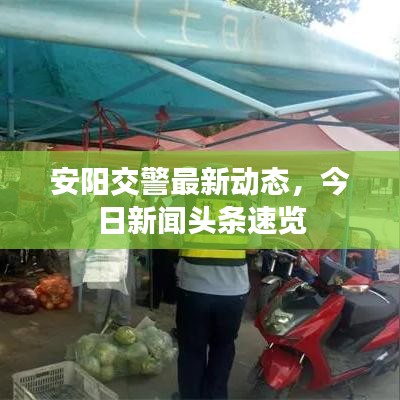 安阳交警最新动态，今日新闻头条速览