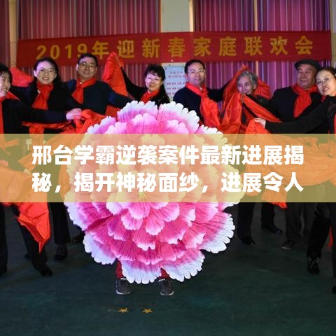 邢台学霸逆袭案件最新进展揭秘，揭开神秘面纱，进展令人瞩目！