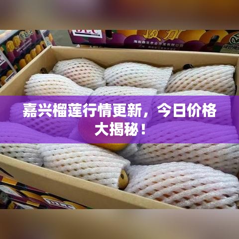 嘉兴榴莲行情更新，今日价格大揭秘！