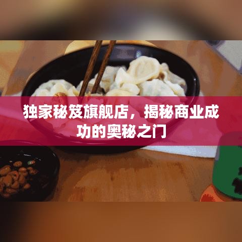 独家秘笈旗舰店，揭秘商业成功的奥秘之门