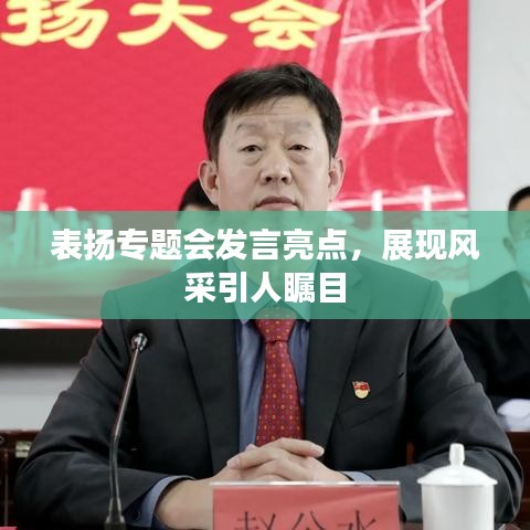 表扬专题会发言亮点，展现风采引人瞩目