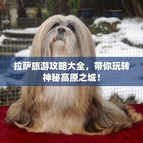 拉萨旅游攻略大全，带你玩转神秘高原之城！